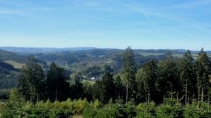 ferienhof baumhoff cobbenrode sauerland - ausblick im sommer