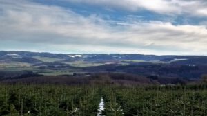 ferienhof baumhoff cobbenrode sauerland - ausblick im winter