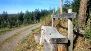 ferienhof baumhoff cobbenrode sauerland - hoehenwanderweg mit bank