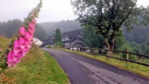 ferienhof baumhoff cobbenrode sauerland - hofzufahrt von kreisstrasse